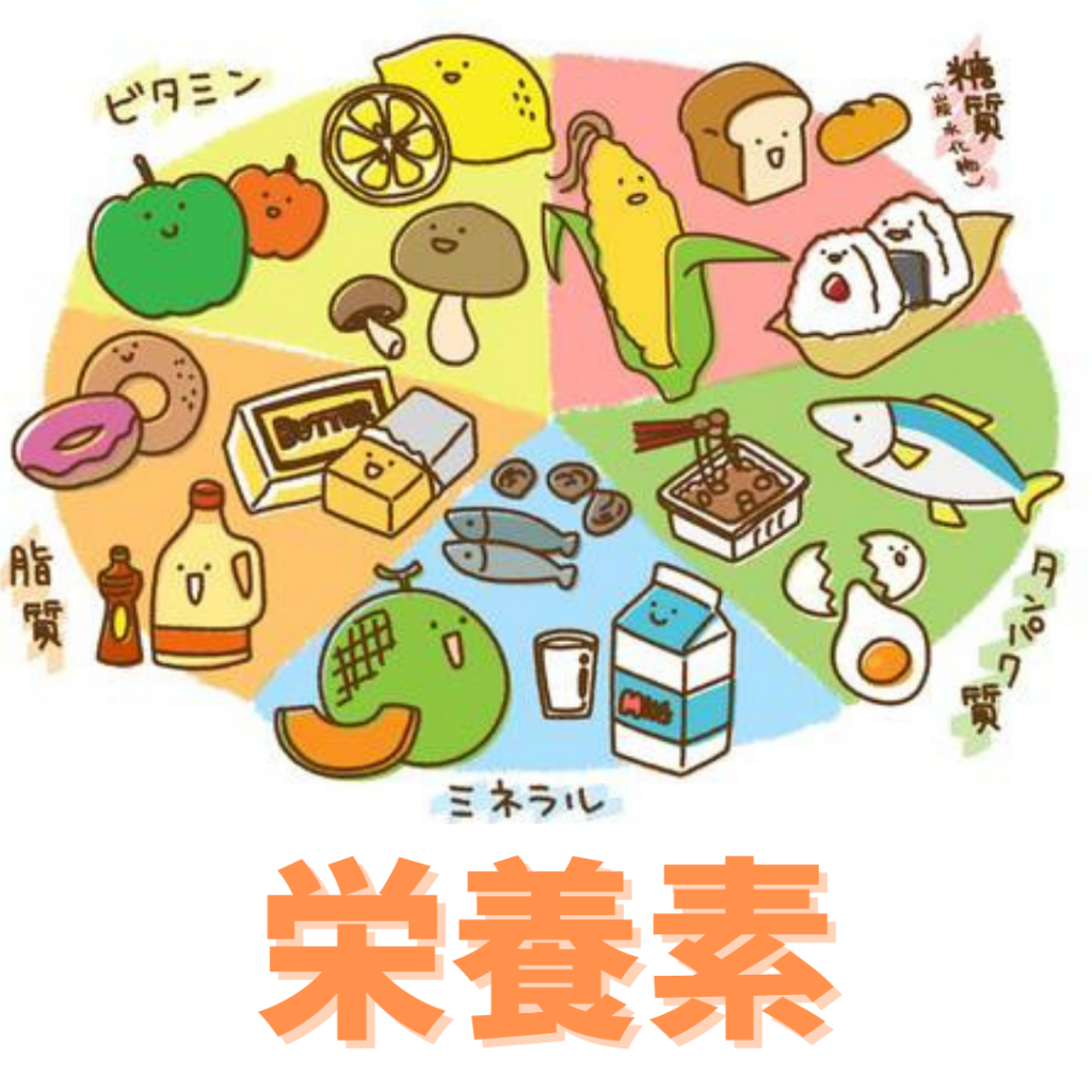 ボトルの栄養価を高めるにはどうすればよいでしょうか?